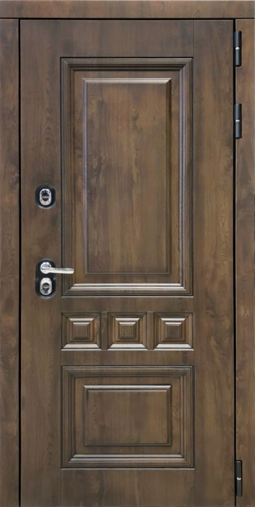 Входная дверь ДвериПРО Аура ФЛ-259 (10мм, дуб с пилением) DPRO197951 внешняя сторона